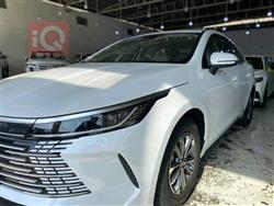 بی وای دی دیسترۆیەر 05